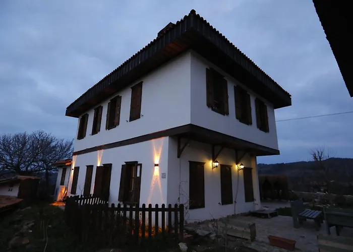 Ikiz Konaklar Szálloda