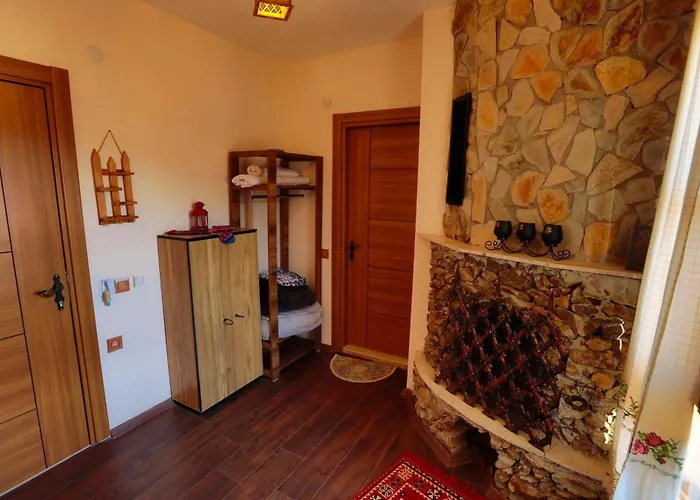 Ikiz Konaklar 5*