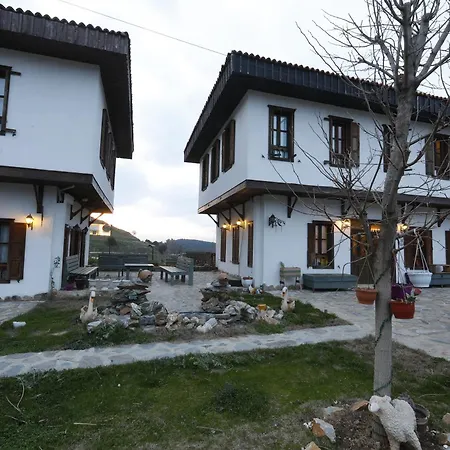 Отель Ikiz Konaklar 5*