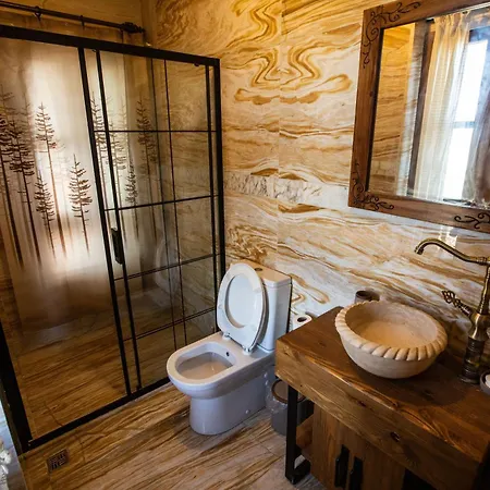 Отель Ikiz Konaklar 5*